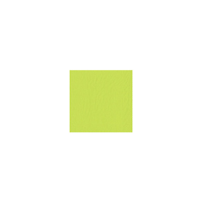 Cocktail Napkin Tissue Lime