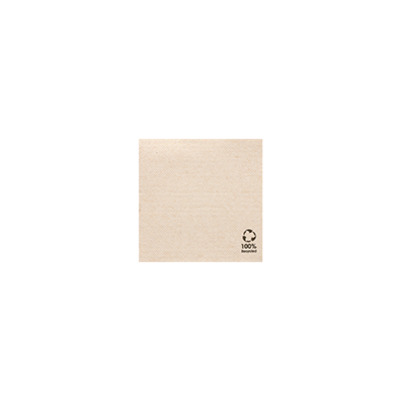 Napkins, 20x20 cm, NATUR, 2,40
