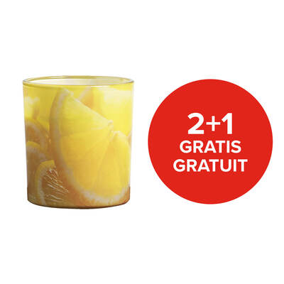 Citronella Kaars In Glas 6 St