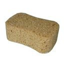 Sponges