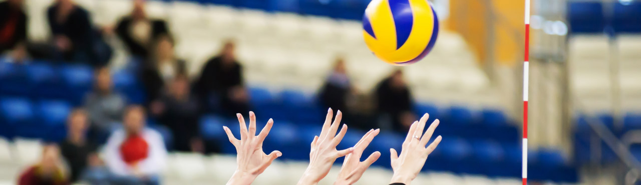 Hands in the air for a volleyball net