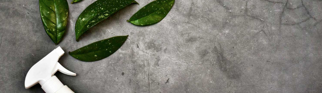 een schoonmaak fles met groene blaadjes ernaast
