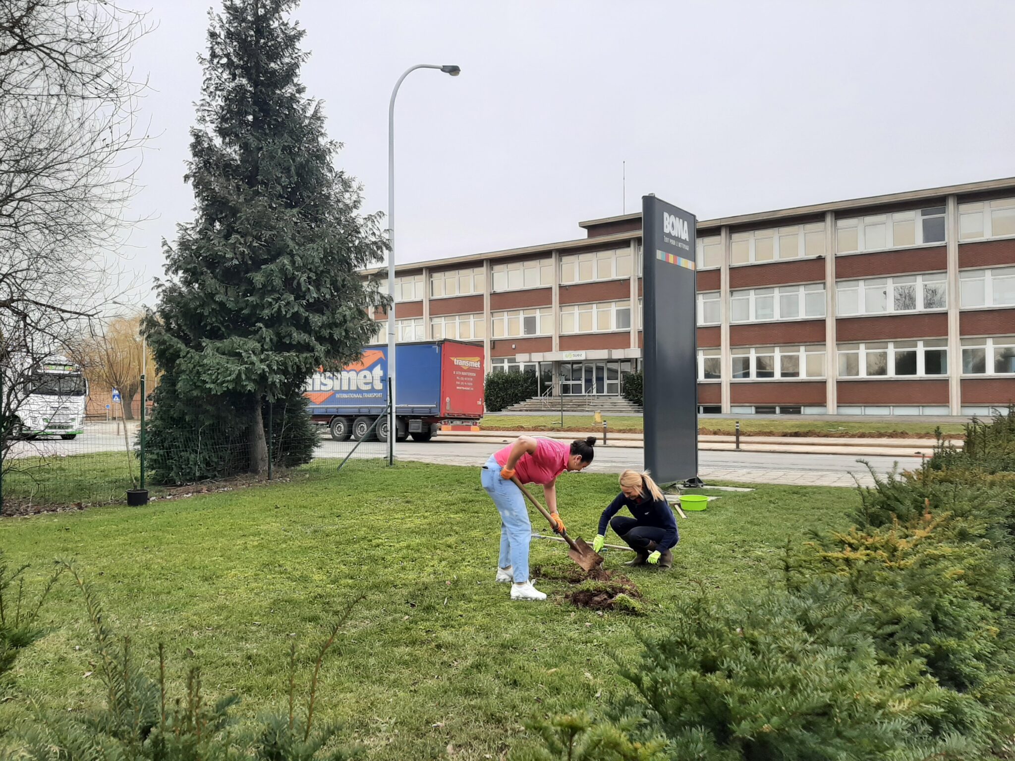Twee dames planten een boom