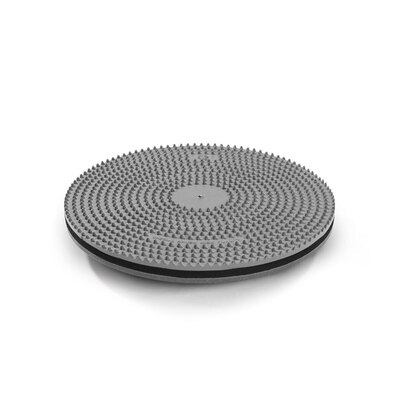 123106155: Disque entraîneur